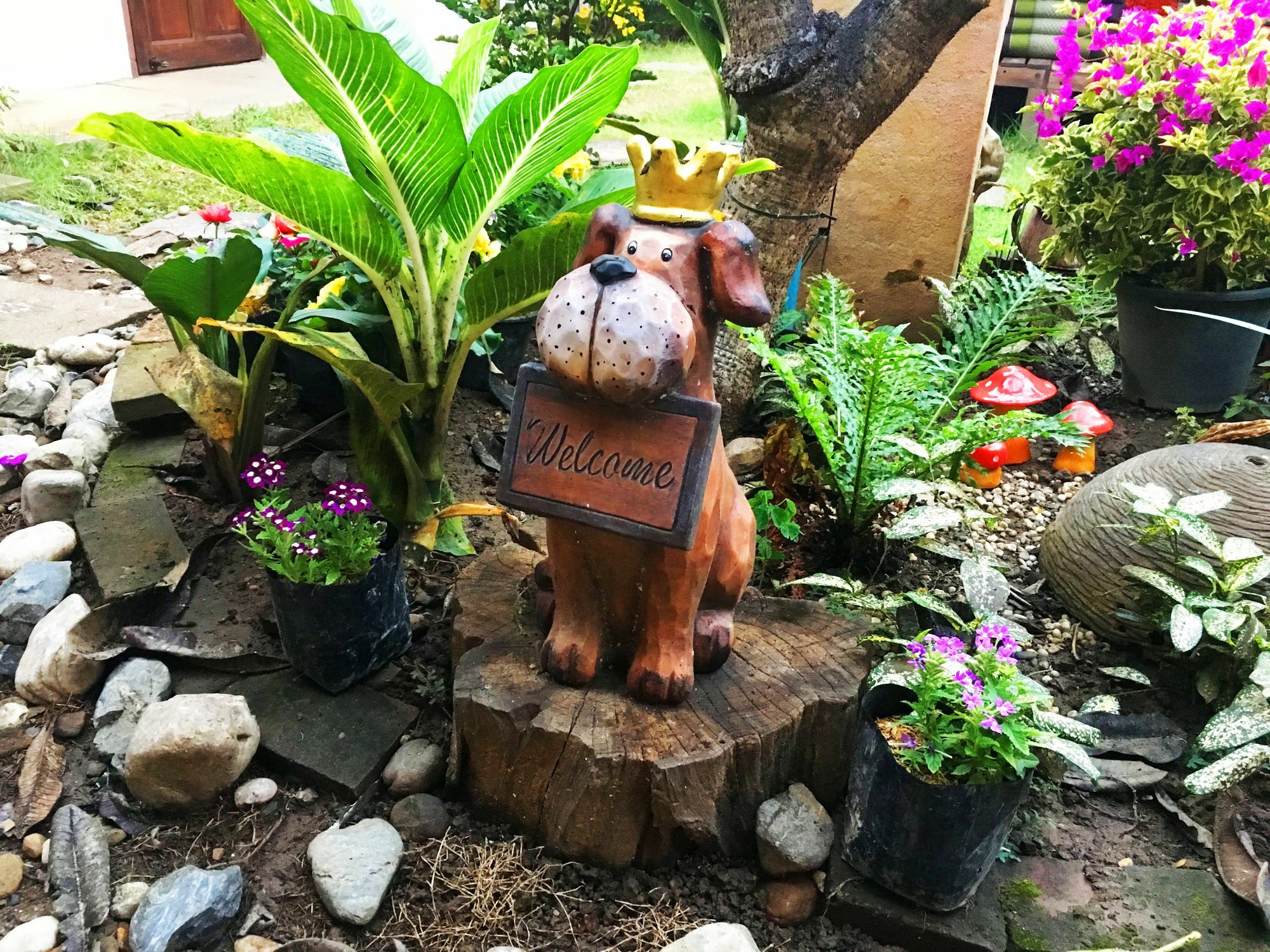 Cshouse Hotell Chiang Mai Eksteriør bilde