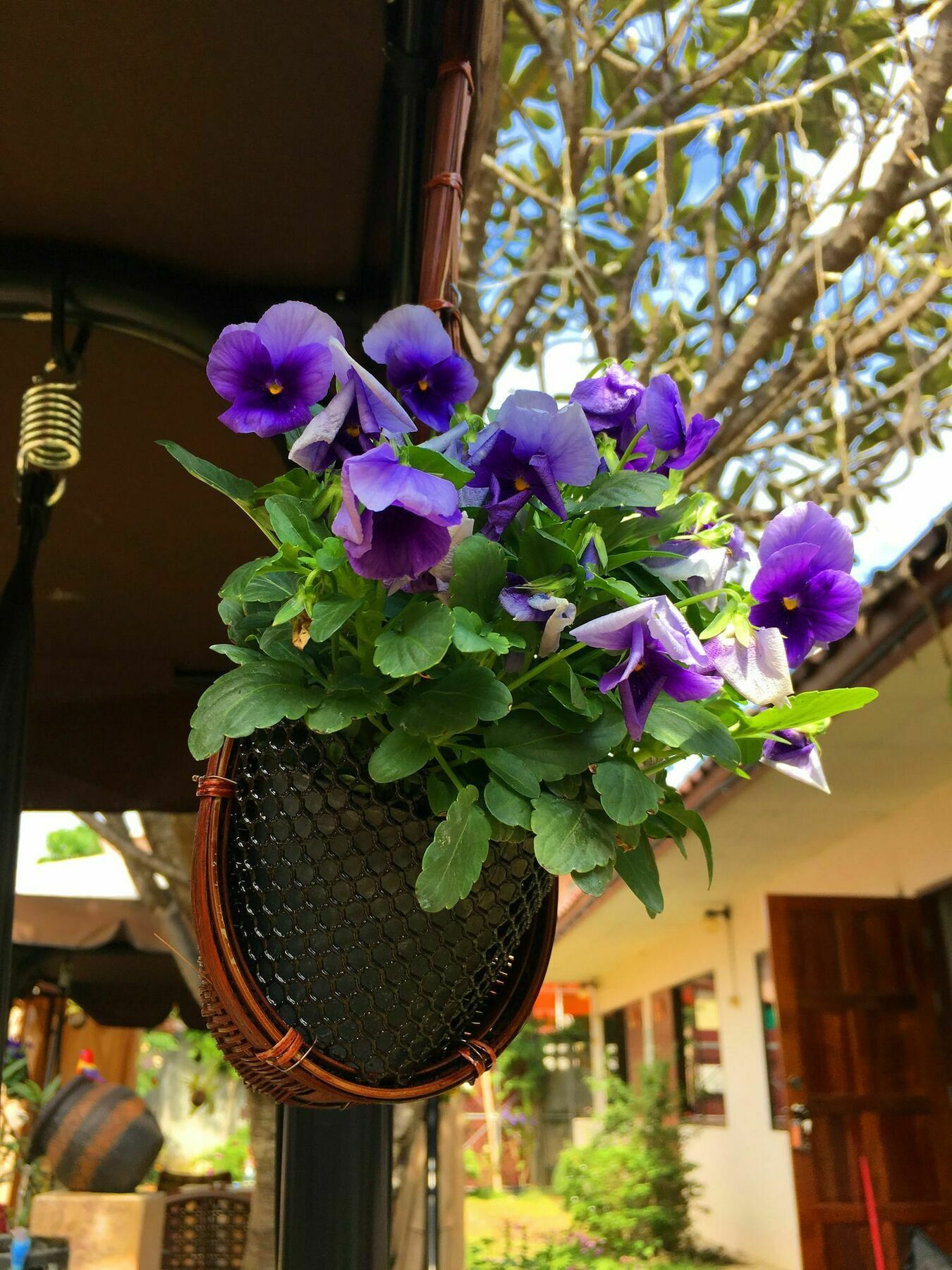 Cshouse Hotell Chiang Mai Eksteriør bilde
